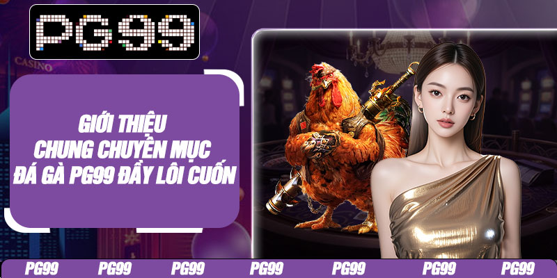 Giới thiệu chung chuyên mục đá gà PG99 đầy lôi cuốn
